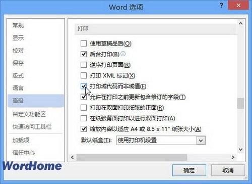 Word2013文档中的域代码怎样打印出来