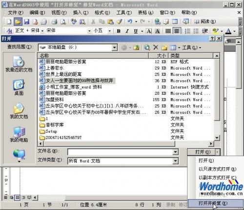 在Word2003中使用