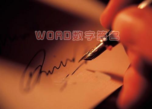 word数字签名有什么用?word数字签名保护文档方法步骤