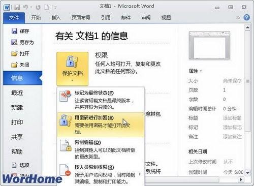全面了解Word2010中的
