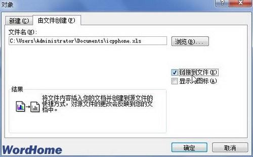 在Word2010中插入链接到文件的对象