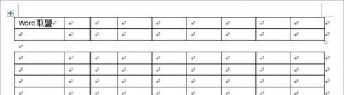 Word2007快速拆分表格,将其一分为二