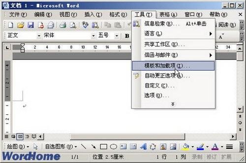 Word2003