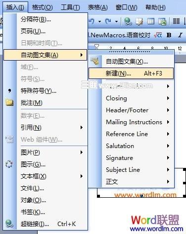 Word2003输入的文字自定义变成相应的图片