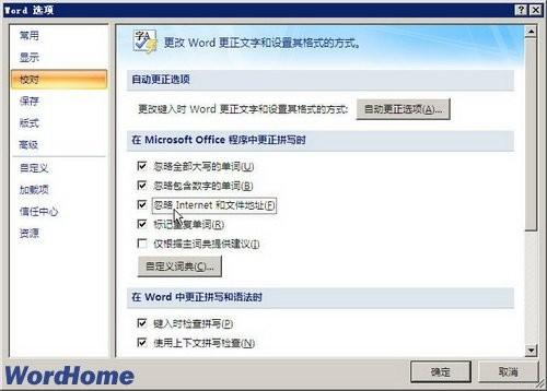 Word2007中如何更正拼写时忽略ie和文件地址