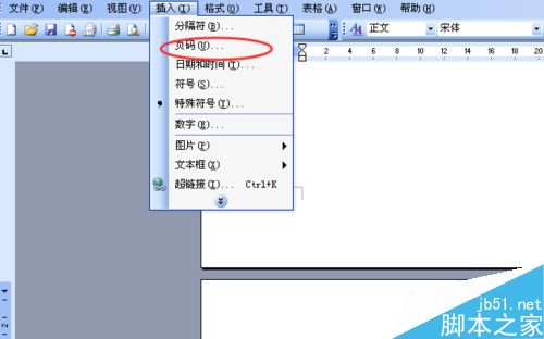 word文档怎么标注页码呢?(图1)