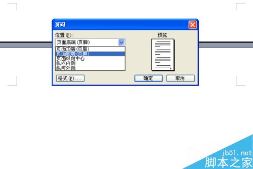 word文档怎么标注页码呢?(图2)