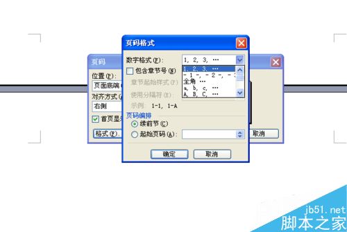 word文档怎么标注页码呢?(图5)