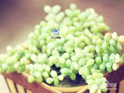 如何将Word转换为网页html格式的方法(附代码清理方法)(图5) 怎么把Word转换为网页html格式?