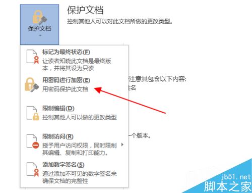 word2013文档如何进行加密呢?(图3)