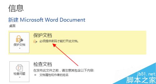 word2013文档如何进行加密呢?(图6)