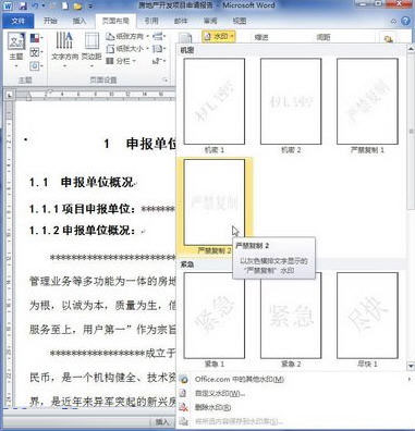 word2010添加和删除水印