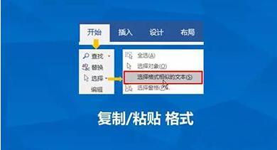 Word怎么批量复制粘贴格式 Word批量复制粘贴格式教程(图5)