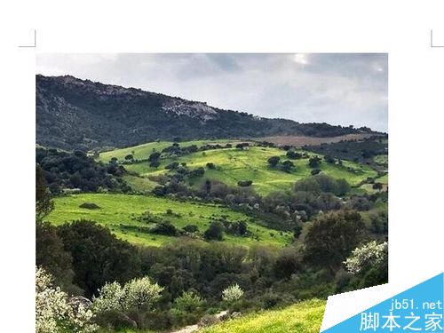 word文档如何制作背景?(图4)