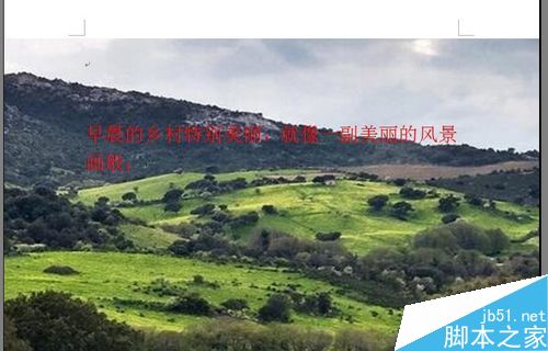 word文档如何制作背景?(图10)