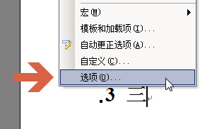 Word2003标题行首总是出现小黑点方块怎么办?(图3)