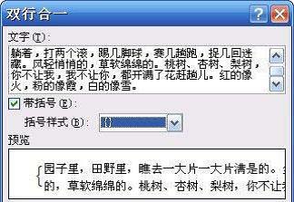 Word2007中双行合一的使用秘技(图2) 图2:“双行合一”对话框