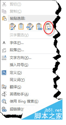 在word2013如何将复制的文本或表格直接转换成图片(图4)