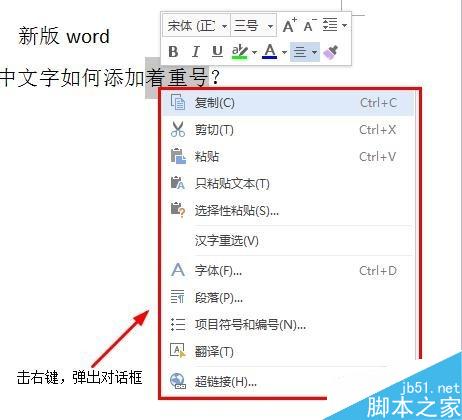 在word文档中如何给文字添加着重号?(图4) word中文字如何添加着重号?