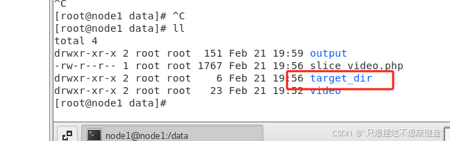 PHP调用FFmpeg实现视频切片(图3)