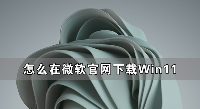 怎么在微软官网下载Win11 如何从微软官网下载Win11(图1) 怎么在微软官网下载Win11