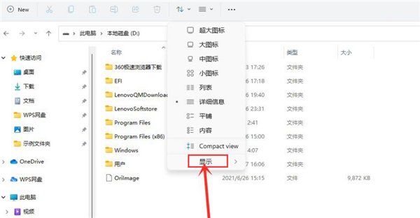 Win11怎么查看隐藏项目?Win11查看隐藏项目的方法(图2) Win11怎么查看隐藏项目?