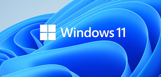 怎么免安装体验Win11?免安装体验Win11的方法(图2) 免安装体验Win11的方法