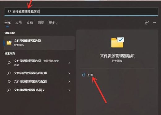 Win11文件后缀名显示操作方法