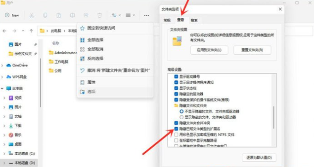 Win11文件后缀名显示操作方法