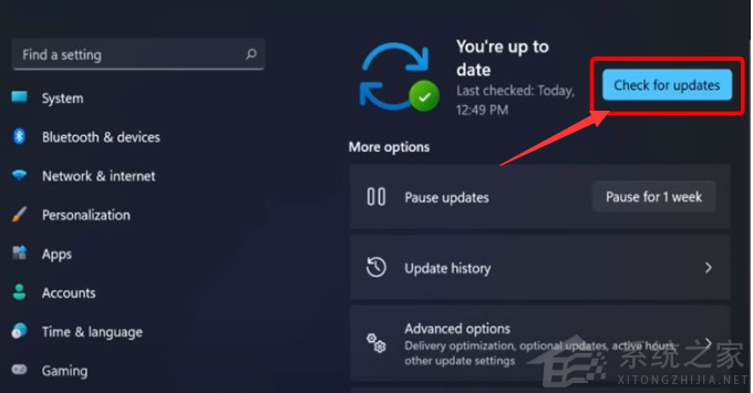 Win11显卡驱动怎么升级?Win11更新显卡驱动教程(图3) Win11显卡驱动怎么升级